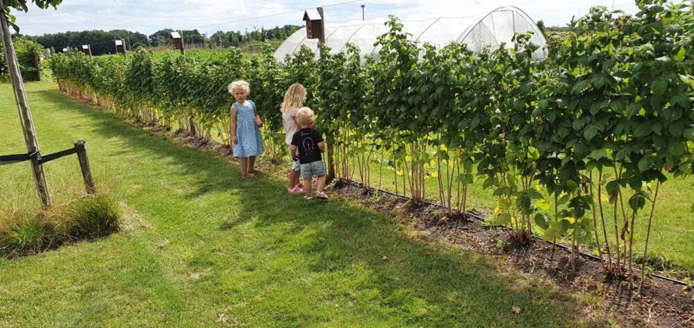 De Weitens Valkenswaard Ngoại thất bức ảnh