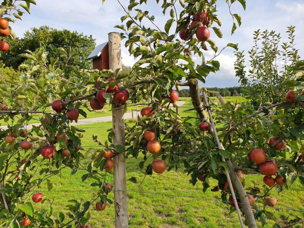 De Weitens Valkenswaard Ngoại thất bức ảnh