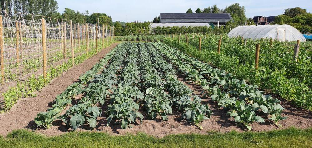 De Weitens Valkenswaard Ngoại thất bức ảnh